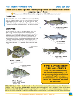 Here are a few tips for identifying some of Oklahoma`s