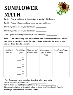 SUNFLOWER MATH - OK