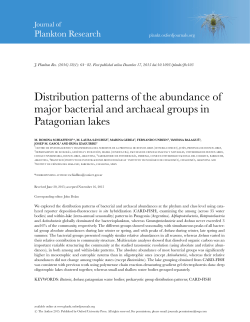 Distribution patterns of the abundance of major bacterial and