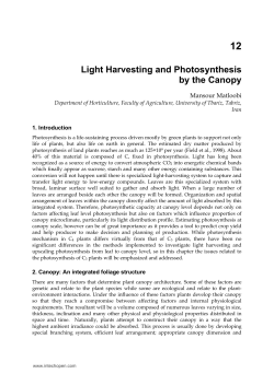 Light Harvesting and Photosynthesis by the Canopy