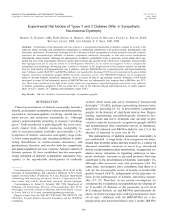 Experimental Rat Models of Types 1 and 2 Diabetes Differ in