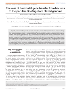 The case of horizontal gene transfer from bacteria to the peculiar
