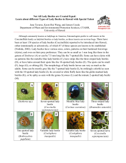 Not All Lady Beetles are Created Equal