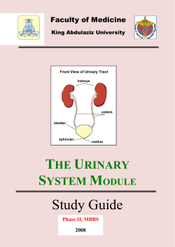 the urinary system module