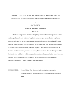 THE STRUCTURE OF HOSPITALITY TYPE