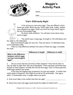 EGG - Maggie`s Earth Adventures