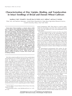 Characterization of Zinc Uptake, Binding, and