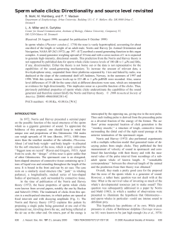 Sperm whale clicks: Directionality and source level revisited