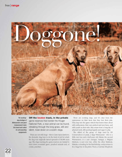 Enthusiastic canines are on the trail of poachers