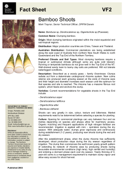 Fact Sheet VF2 Bamboo Shoots - Department of Primary Industry