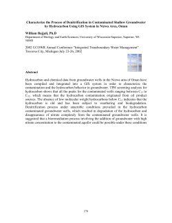 Characterize the Process of Denitrification in Contaminated Shallow