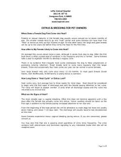 Breeding 2 &ndash; Estrus and Mating