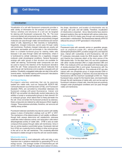 Cell Staining - ResearchGate