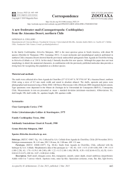 from the Atacama Desert, northern Chile