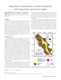 Here - Geological Society of America