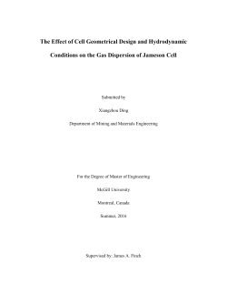 The Effect of Cell Geometrical Design and