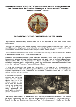 the origins of the camembert cheese in usa