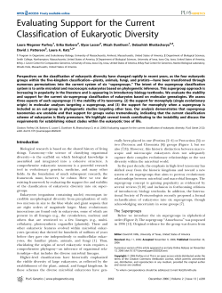 Evaluating Support for the Current Classification of Eukaryotic