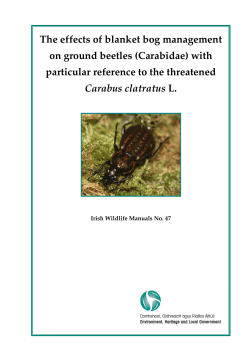 The effects of blanket bog management on ground beetles