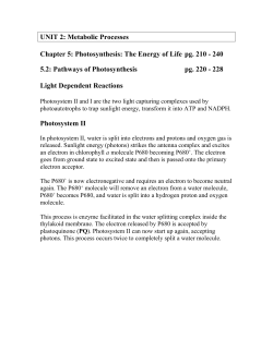 Note 5.2 - Pathways of Photosynthesis