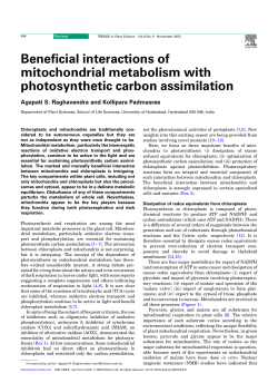 Beneficial interactions of mitochondrial metabolism with
