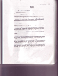 Chapter 13 Protozoa