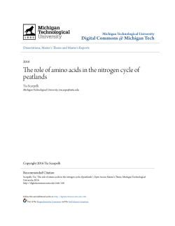 The role of amino acids in the nitrogen cycle of peatlands