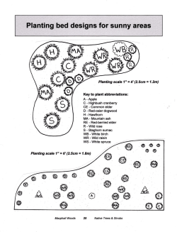 Planting scale 7` = 4`(2.5cm = 1.2m) Key to plant abbreviations