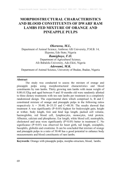 Morphostructural characteristics and blood constituents of dwarf ram