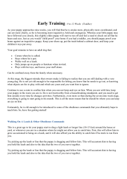 Early Training- 9 to 12 Weeks (Toddler) As your puppy approaches