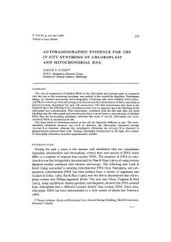 autoradiographic evidence for the in situ synthesis of chloroplast