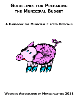 guidelines for preparing the municipal budget