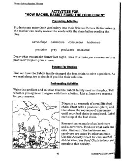 how rachel rabbit fixed the food chain