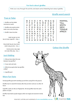 Giraffe word search True or False