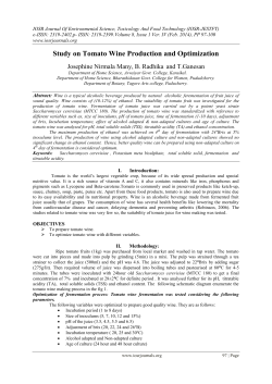 Study on Tomato Wine Production and Optimization