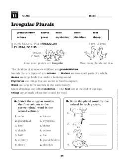 Irregular Plurals 11
