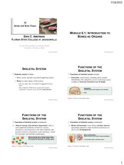 Chapter 6 PowerPoint Slides PDF - CM