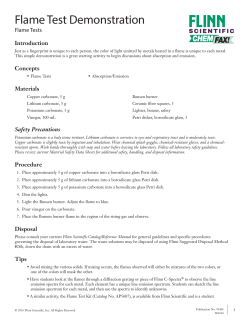 Flame Test Demonstration