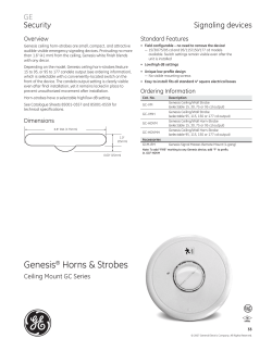 Fire Mini Cat - Chubb Edwards