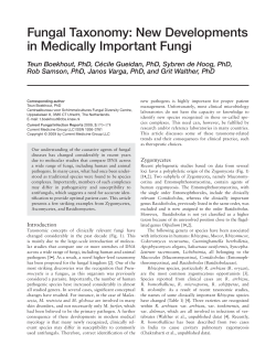 Fungal Taxonomy: New Developments in Medically Important Fungi