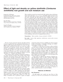 Effect of light and density on yellow starthistle (Centaurea