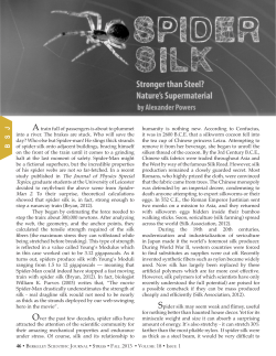 Spider Silk - Berkeley Scientific Journal