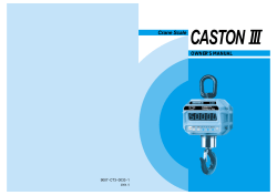 Crane Scale CASTON