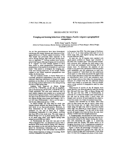 Foraging and homing behaviour of the limpet, Patella vulgata: a