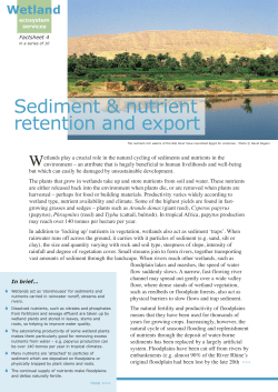 Ramsar factsheet 4 - The Ramsar Convention on Wetlands