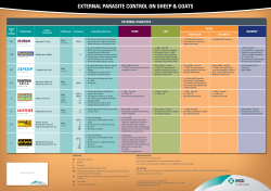 Sheep Dipping Chart