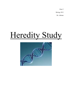 Heredity Study