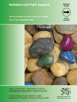 Inclusion and Pupil Support