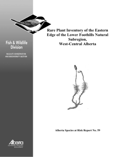 Rare plant inventory of the eastern edge of the lower foothills natural