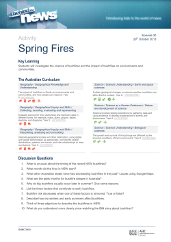 Spring Fires
